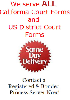 Process Server Los Angeles